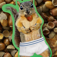 SQUIRREL IN UNDERPANTS Car Air Freshner (Forest Fresh Scent) - Archie McPhee