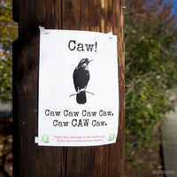 A poster from the "23 Page Hilarious Poster Signs" collection features a bird silhouette and reads, "Caw! Caw Caw Caw Caw. Caw CAW Caw." Below, it humorously states: "This message is for crows only. If you are a human please ignore," reminiscent of Jeff Wysaski's comedic book style.