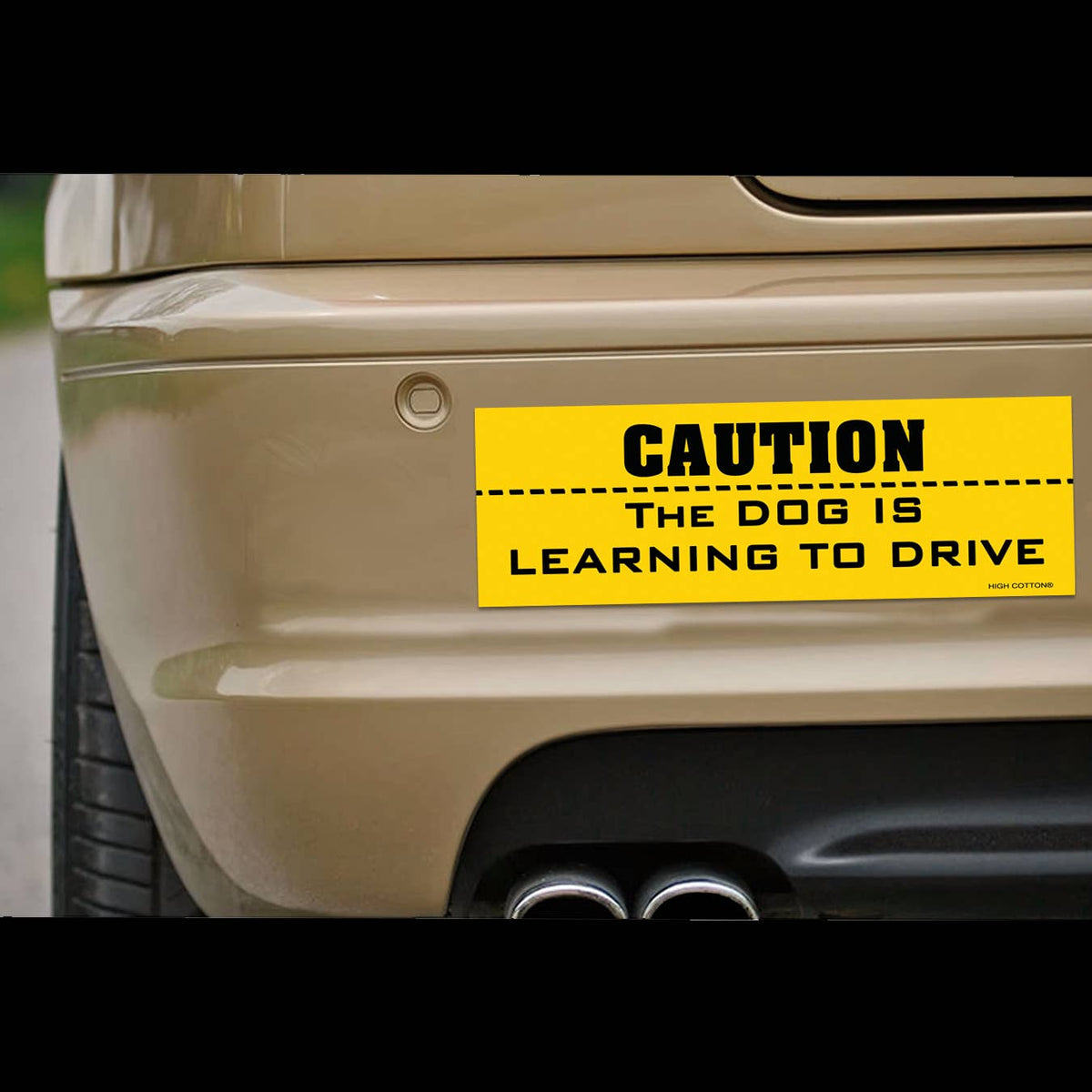 ⚠️"CAUTION: Dog is Learning to Drive" 🐶 Funny Bumper Car Magnet - Made in USA
