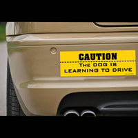 ⚠️"CAUTION: Dog is Learning to Drive" 🐶 Funny Bumper Car Magnet - Made in USA