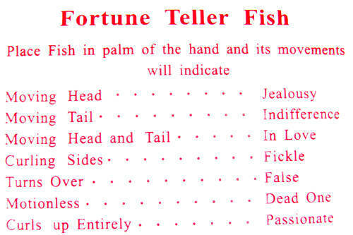 144 Fortune Teller Magic Miracle Fish Fortune Telling Fish Individual Envelopes