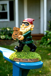 THE PORCH PIRATE Garden Gnome Statue Yard Lawn Amazon & eBay Package Box Stealer