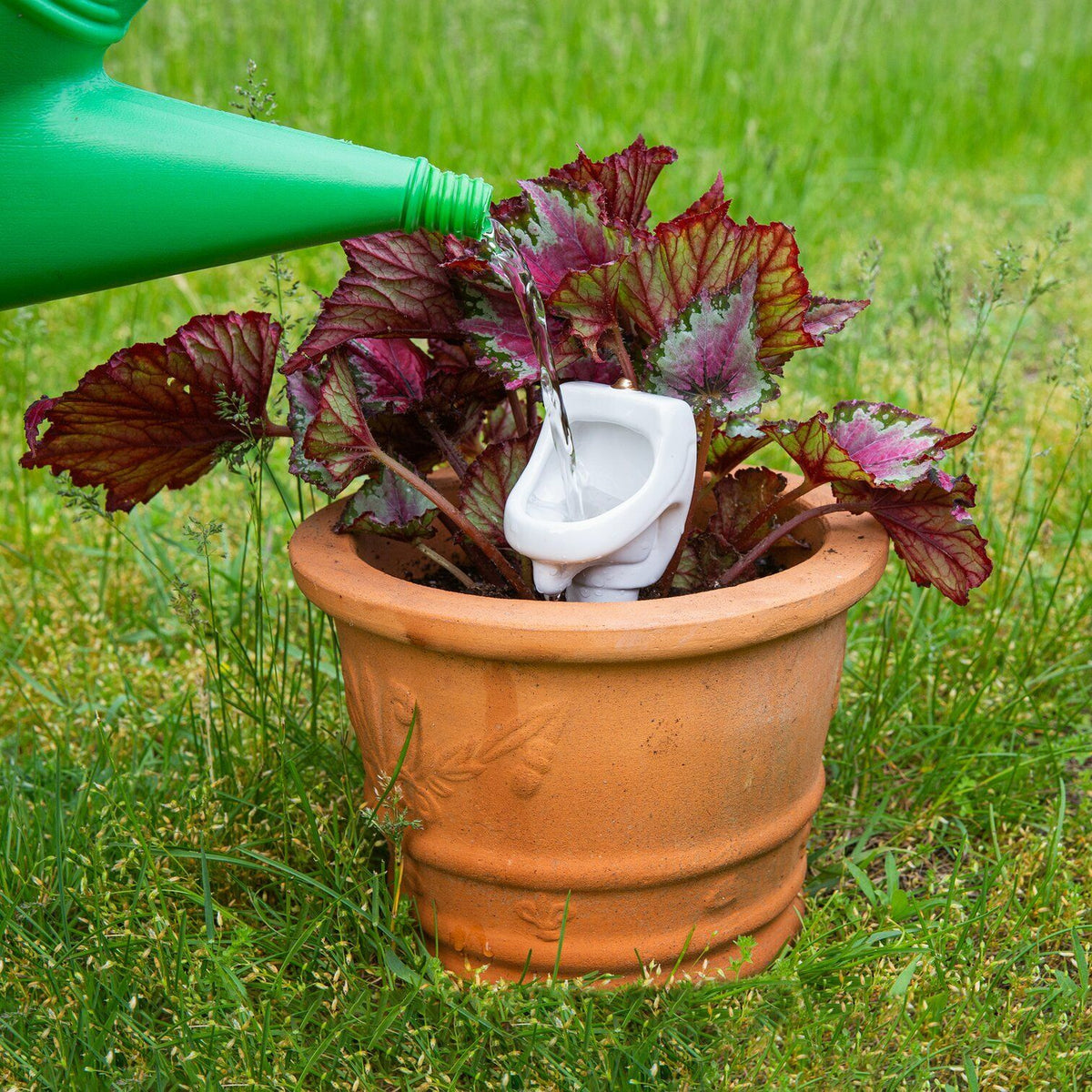 The Bathroom Urinal Plant Watering Stake - Funny Garden Gag Joke REALLY WORKS!