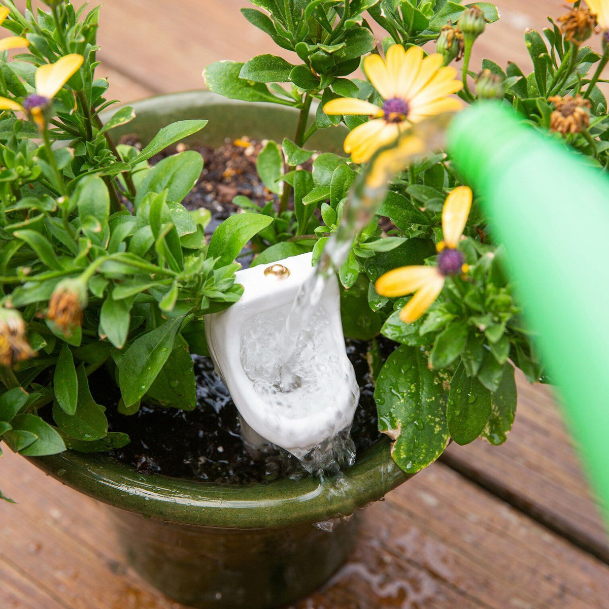 The Bathroom Urinal Plant Watering Stake - Funny Garden Gag Joke REALLY WORKS!