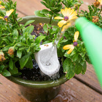 La estaca para regar las plantas del orinal del baño: ¡una broma divertida para el jardín REALMENTE FUNCIONA!