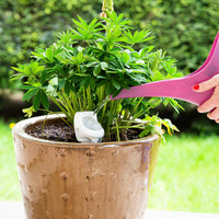 La estaca para regar las plantas del orinal del baño: ¡una broma divertida para el jardín REALMENTE FUNCIONA!