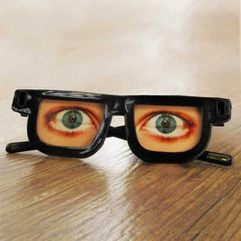 Snooze Glasses -  Gag Gift, Funny Eyewear - Hologram Costume Eyes Open & Close!