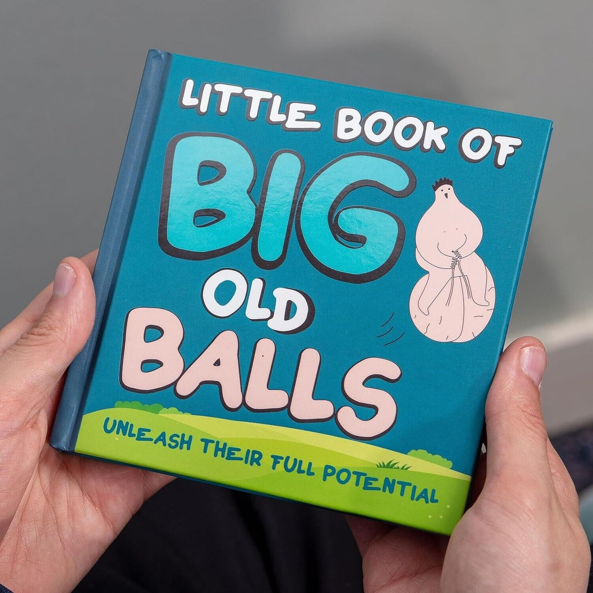 JUEGO DE 2 - Pequeños libros de grandes bolas viejas y tetas gigantes Broma divertida para adultos