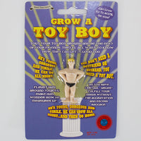 The packaging for the "Grow Your Own BOY TOY Boyfriend Sugar Daddy - This Hunk of a Man!" presents a tiny male figure clad in swim trunks, making it an ideal gag gift or party favor. The playful text invites you to enjoy the amusing transformation as it magically expands in water, highlighting its quirky allure.