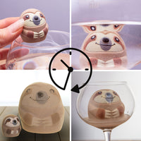 Grow A Sloth Toy - Just Add Water 600% Larger! Children Stocking Stuffer