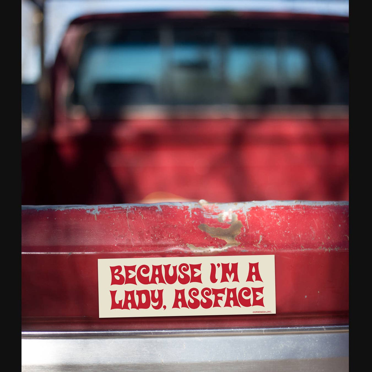 👩 "Because I'm A Lady, ASSFACE" 😂 Funny Bumper Car Fridge Magnet | USA Made