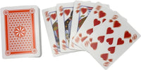 Blurry Deck of Playing Cards - The Ultimate Trick Hilarious Gag Prank Joke Gift