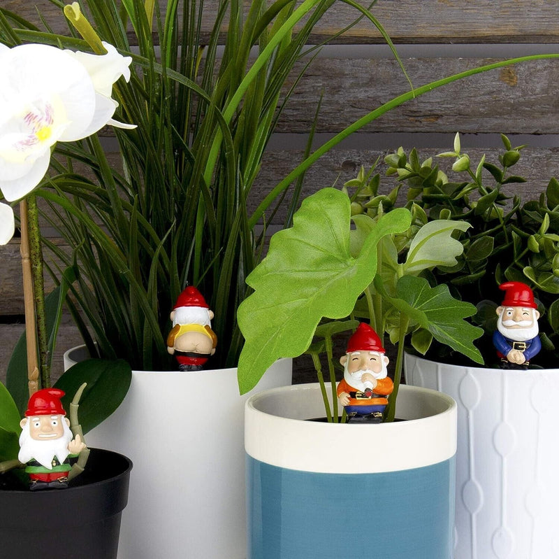 The wooden backdrop hosts three potted plants, each with a white flower and assorted greenery. Peeking out are the playful Mini Naughty Plant Pot Gnomes from a 4-pack, adding whimsical charm and making them the perfect funny gift for any plant enthusiast.
