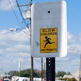 School Sign Crossing Gag Sign - 800 points to hit a kid