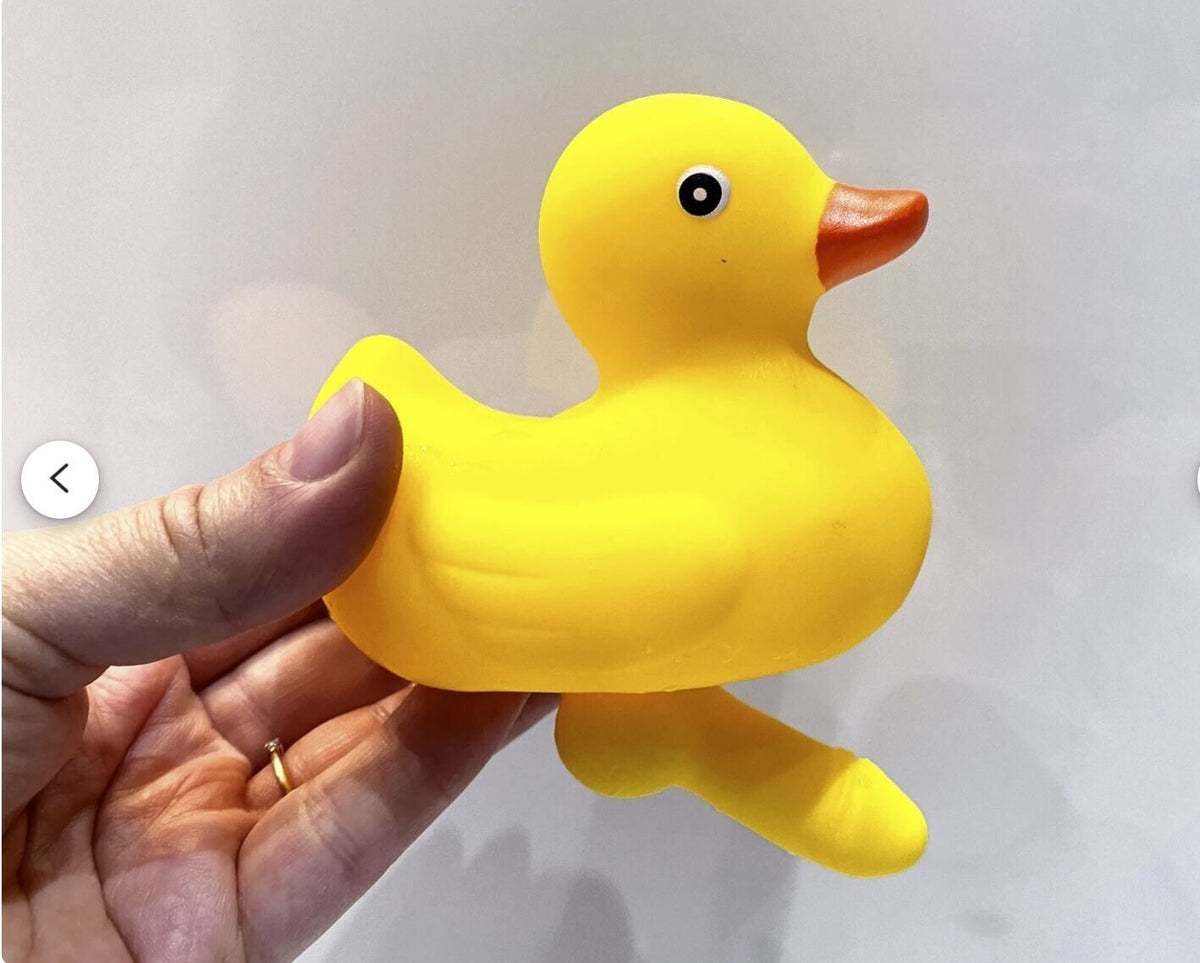 CANARD AVEC UNE BITE