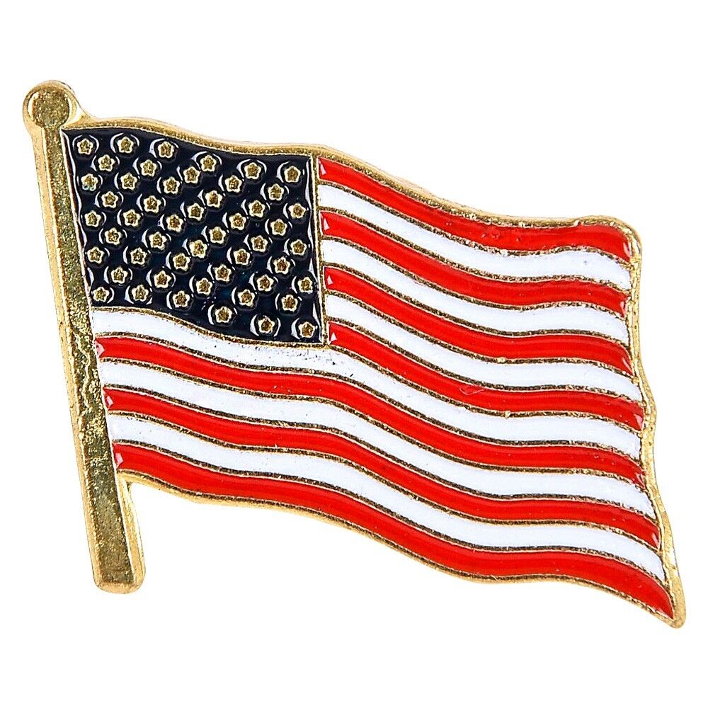 10 American Waving Flag Label Pins - MADE IN USA - High Quality US Patriotic Set