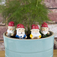 Mini Plant Pot Gnome Statues - Cute Garden Planter Decoration Novelty Gift