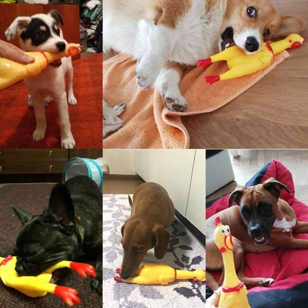 Pollo de goma chirriante de 12 "-juguete para niños con sonido chirriante para perros chillones