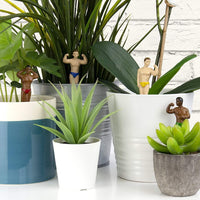 Mini statues de jardinière Hunk – Pots de plantes de jardin sexy Muscles – Cadeau fantaisie GaG
