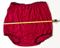 BIG MOMMA UNDIES CULOTTES GRANNY GÉANTES SOUS-VÊTEMENTS GRAND-MÈRE ~ GaG Joke Gift