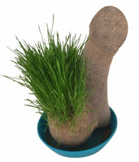 HAIRY BALLS - Grow Your Willy Pecker Chia Pet Plant - Adult Gag Prank Joke