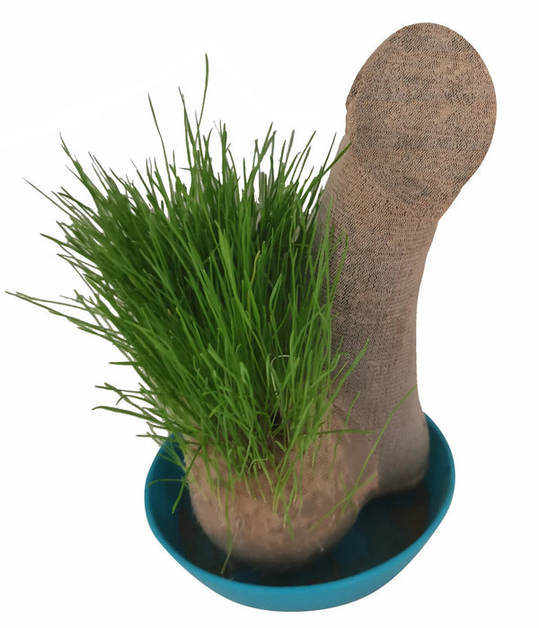 HAIRY BALLS - Grow Your Willy Pecker Chia Pet Plant - Adult Gag Prank Joke