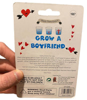 Grow A Boyfriend Divertida novedad broma fiesta Navidad secreto Santa regalo para adultos