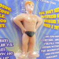 A humorously named toy figure, the "Grow Your Own BOY TOY Boyfriend Sugar Daddy - This Hunk of a Man!" is set against a playful backdrop with clever text, making it an ideal gag gift.