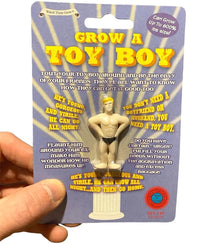 Grow Your Own BOY TOY Boyfriend Sugar Daddy - This Hunk of a Man! Gag Joke Gift