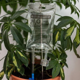 MINI sac médical pour plantes - système d'arrosage - cadeau de nouveauté de jardin de blague drôle