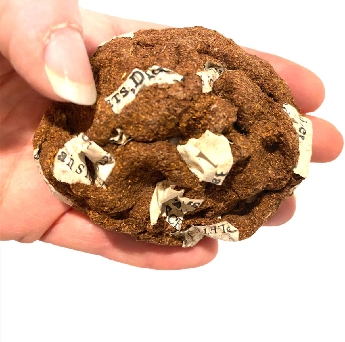 HIGH QUALITY Fake Dog Poop Poo Realistic Doggy Doo Doo Joke Gag - Paper in Crap