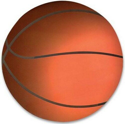 BASKETBALL Car Magnet ~ Sports Magnetic Fridge NBA - Large 5" & 1/2 inch size