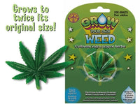 Cultivez votre propre herbe marijuana cannabis drogues GaG blague drôle anniversaire nouveauté