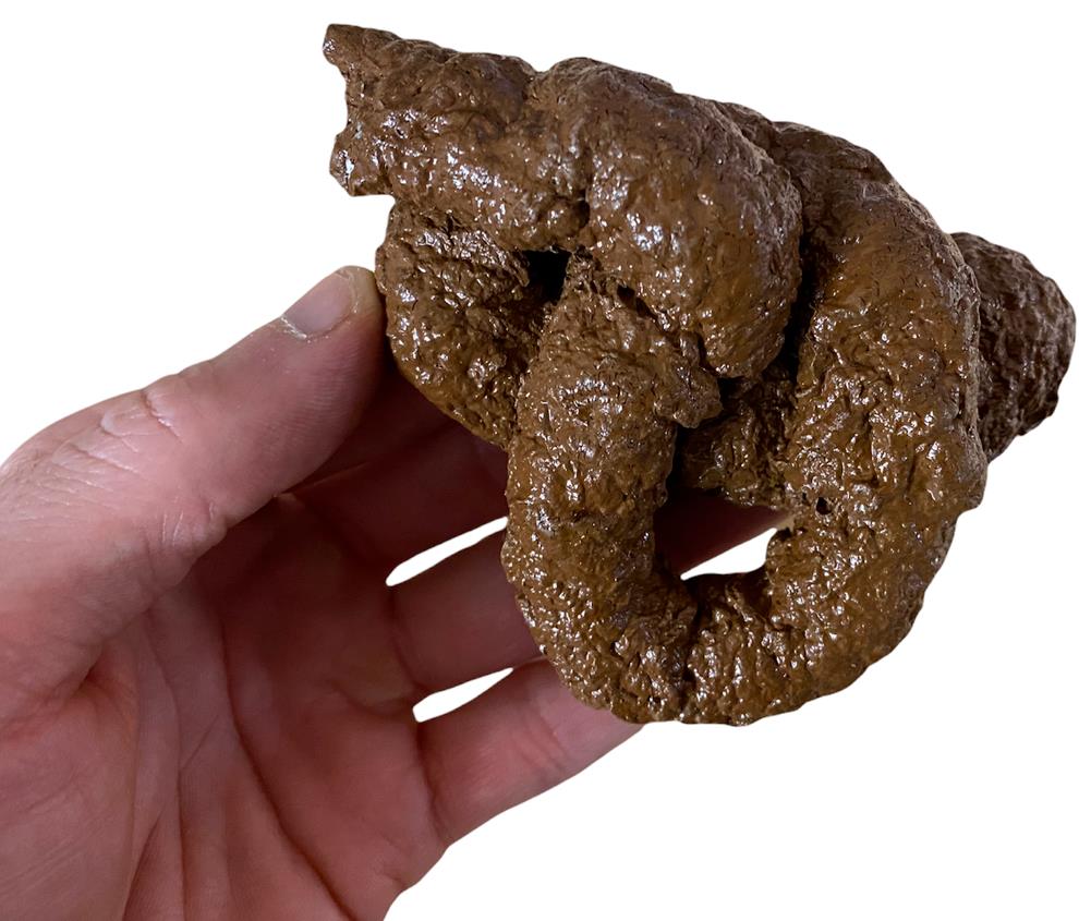 HIGH QUALITY Fake Dog Poop Poo Realistic Doggy Doo Doo Dirt Joke Gag Crap Pile