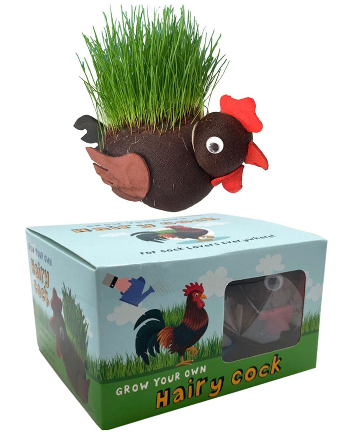 Grow Your own HAIRY C#@K Willy Pecker Chia Pet Plant - Novelty Joke Gag Prank