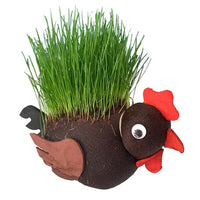 Grow Your own HAIRY C#@K Willy Pecker Chia Pet Plant - Novelty Joke Gag Prank