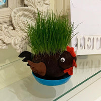 Haz crecer tu propia planta para mascotas HAIRY C#@K Willy Pecker Chia - Broma novedosa