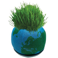 Grow Your Own Green Earth - Just add Water and watch it grow Fun Child Learning