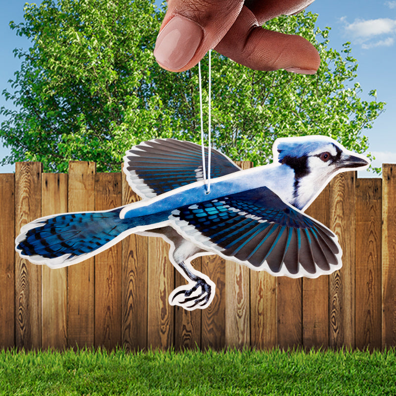 3D BLUE JAY Bird Car Air Freshener -  (Blueberry Scent) - Archie McPhee