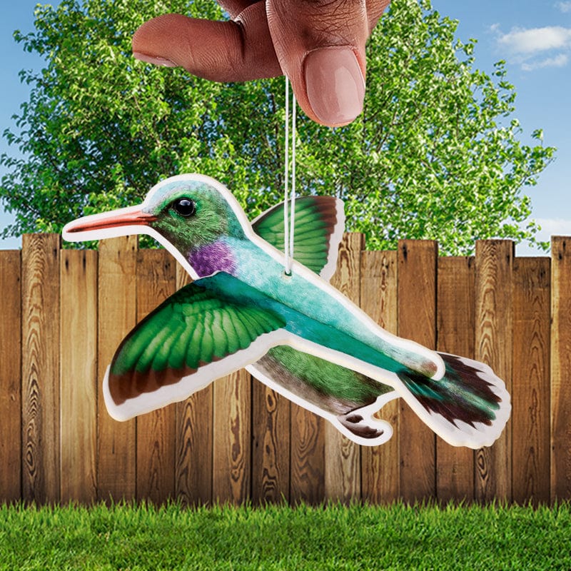 3D HUMMINGBIRD Bird Car Air Freshener -  (Lavender Scent) - Archie McPhee