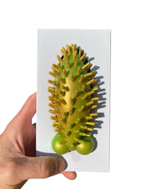 STRESS PRICK -  Squeeze Stretch - Willy Pecker Cactus with Balls!  Adult GaG