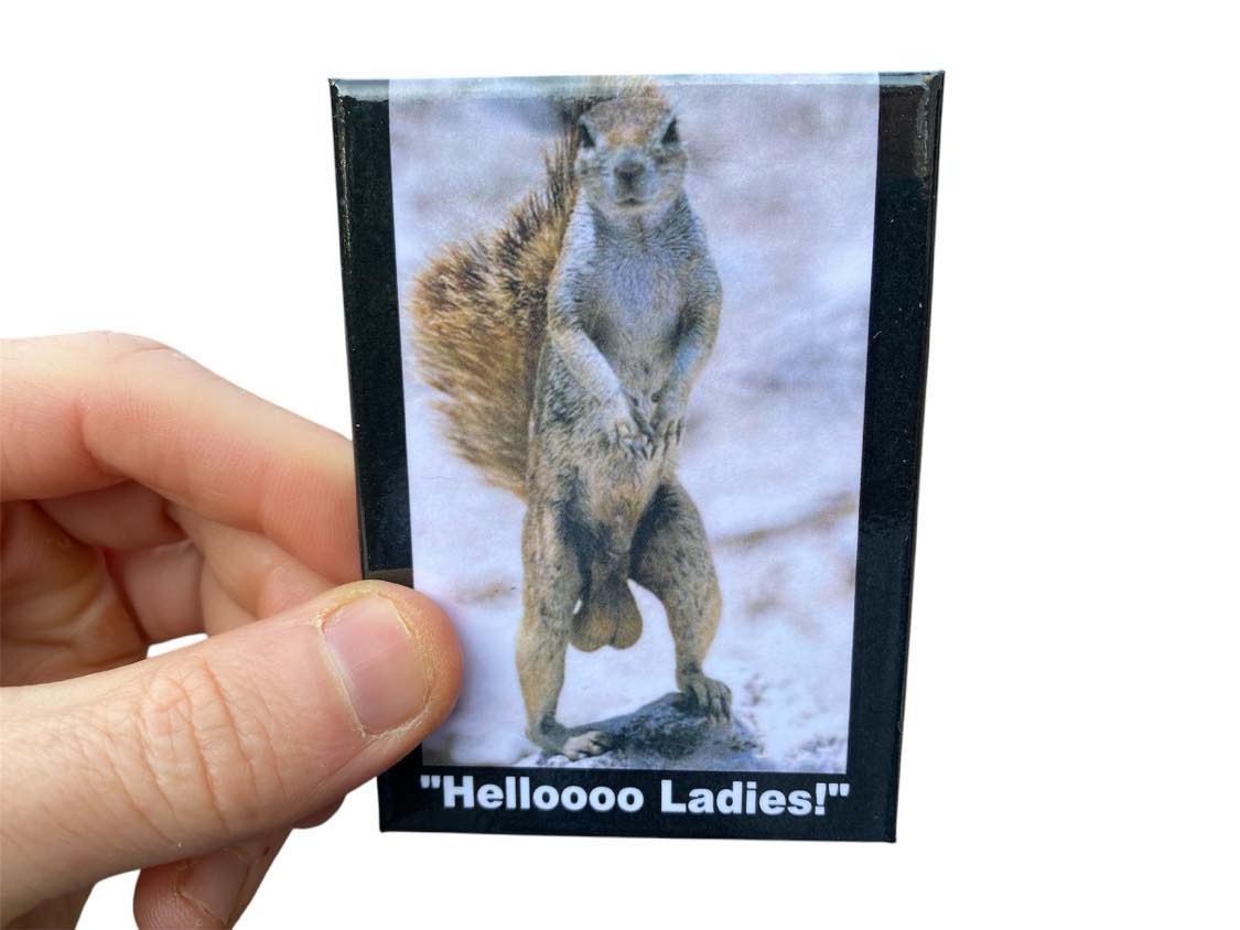 "Helloooo Ladies!" Fridge Magnet Kitchen Home Decor - 3.5" x 2.5" Made in USA