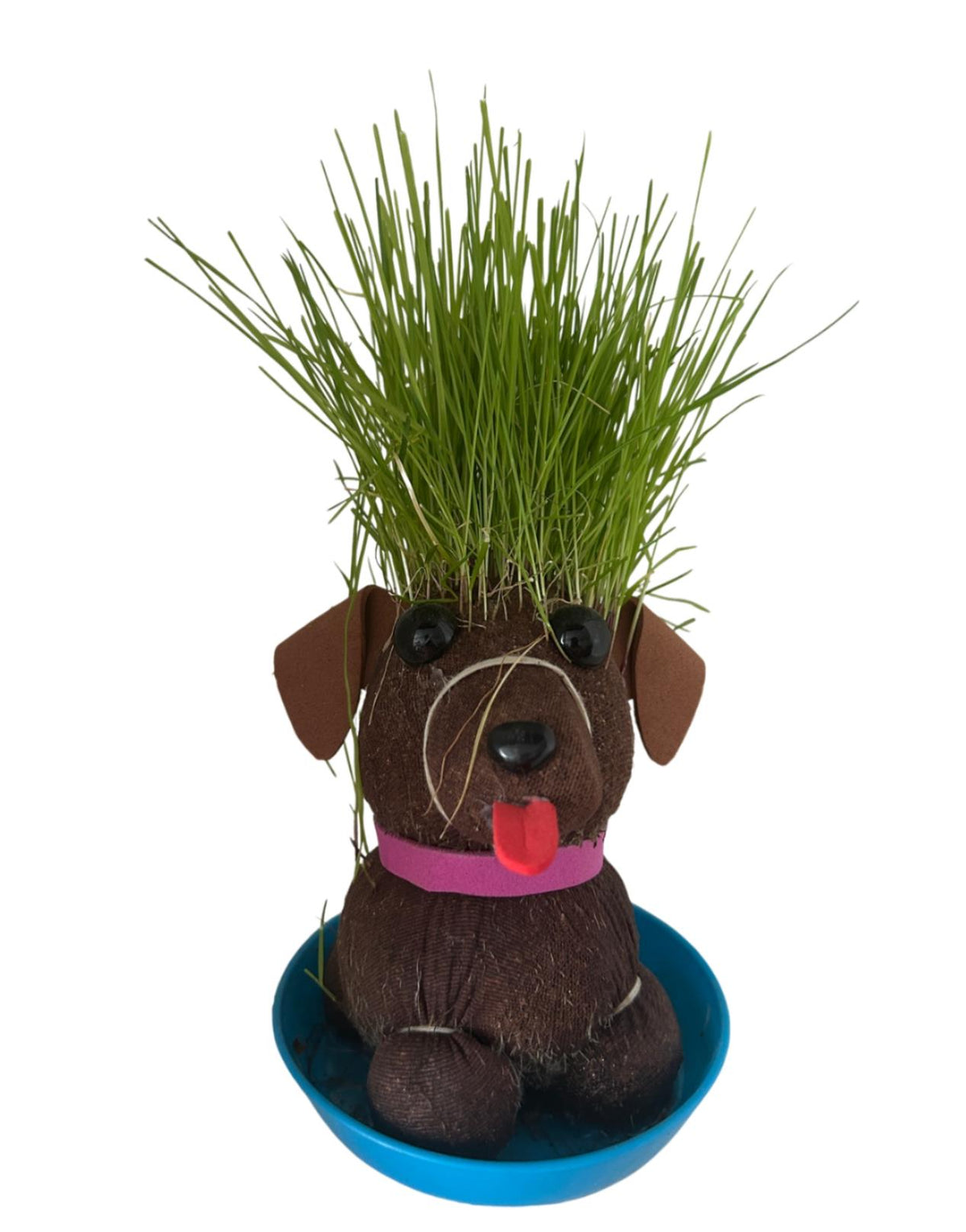 HAIRY BITCH - Kiss my Grass! - Puppy Dog Growing Chia Pet Plant Funny Adult Gift