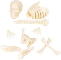 Itty Bitty Human Bones (Bag of 10) - Glow in Dark Figurines Toy - Archie McPhee