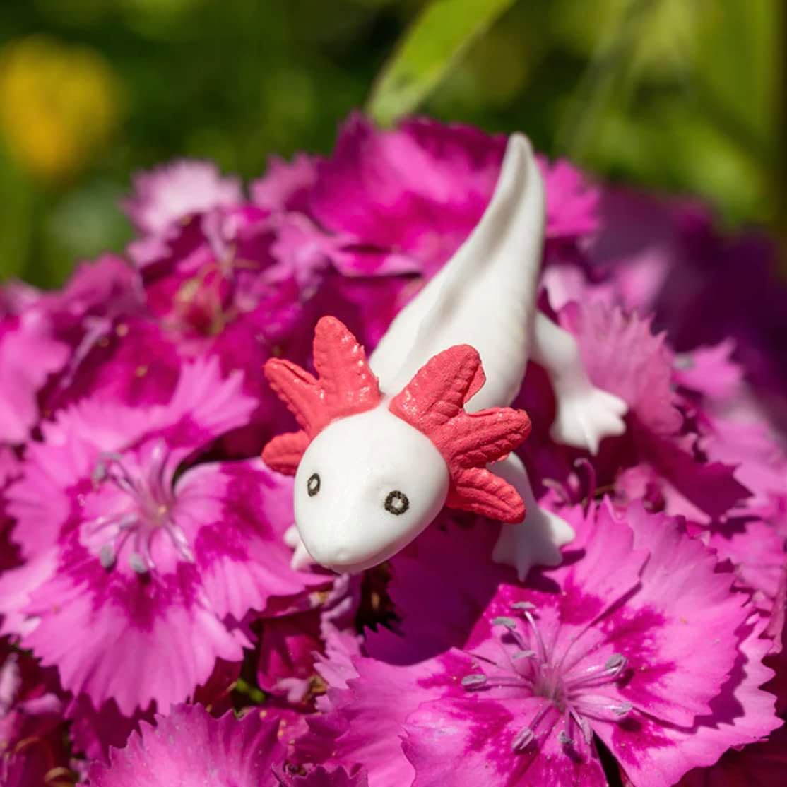 Itty Bitty Happy Axolotls (Bag of 8) - Tiny Figurines Crafts - Archie McPhee