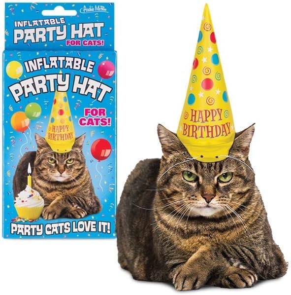 Birthday Inflatable Cat / Dog Party Costume Hat - SO FUNNY! ~  Archie McPhee