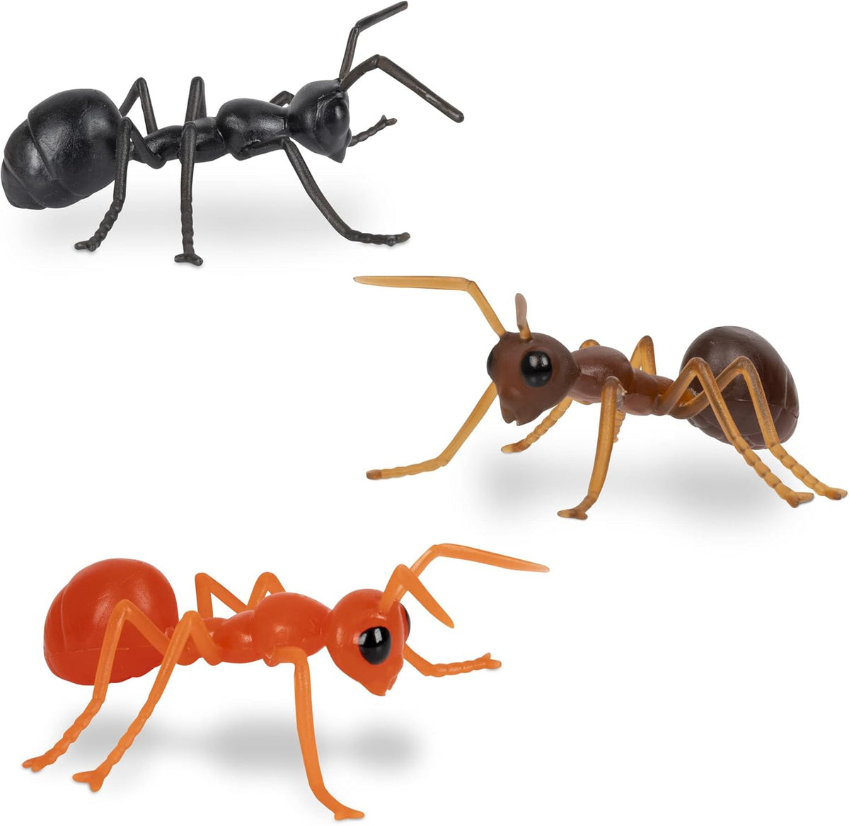 ANTS! ® Novelty Insect Bugs 3'' ANTS (Box of 6)  - Archie McPhee