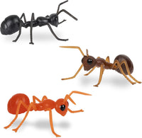 ANTS! ® Novelty Insect Bugs 3'' ANTS (Box of 6)  - Archie McPhee