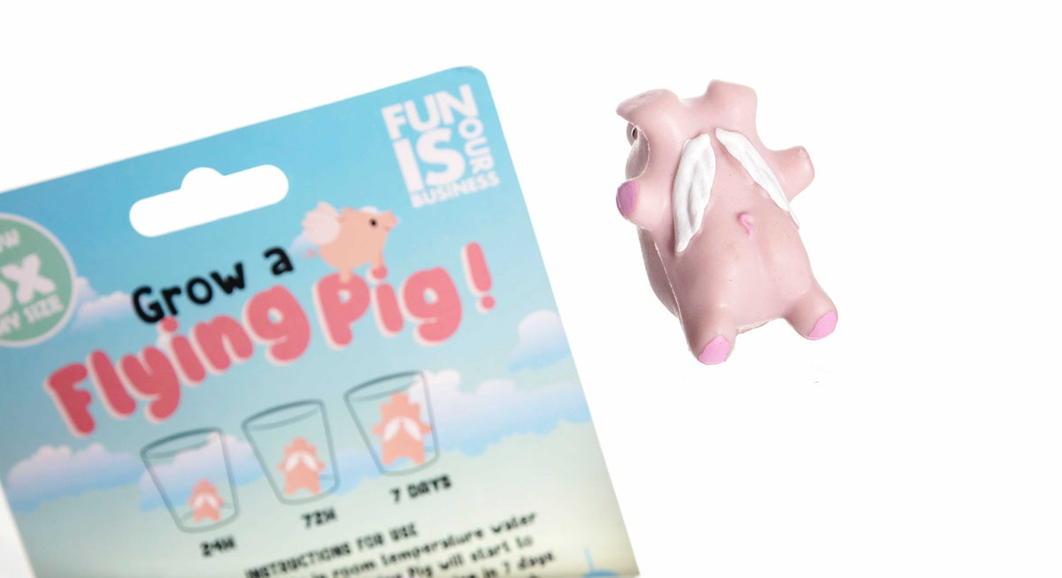 Grow A Pig Toy - Just Add Water 600% Larger! Piggy Child Stocking Stuffer