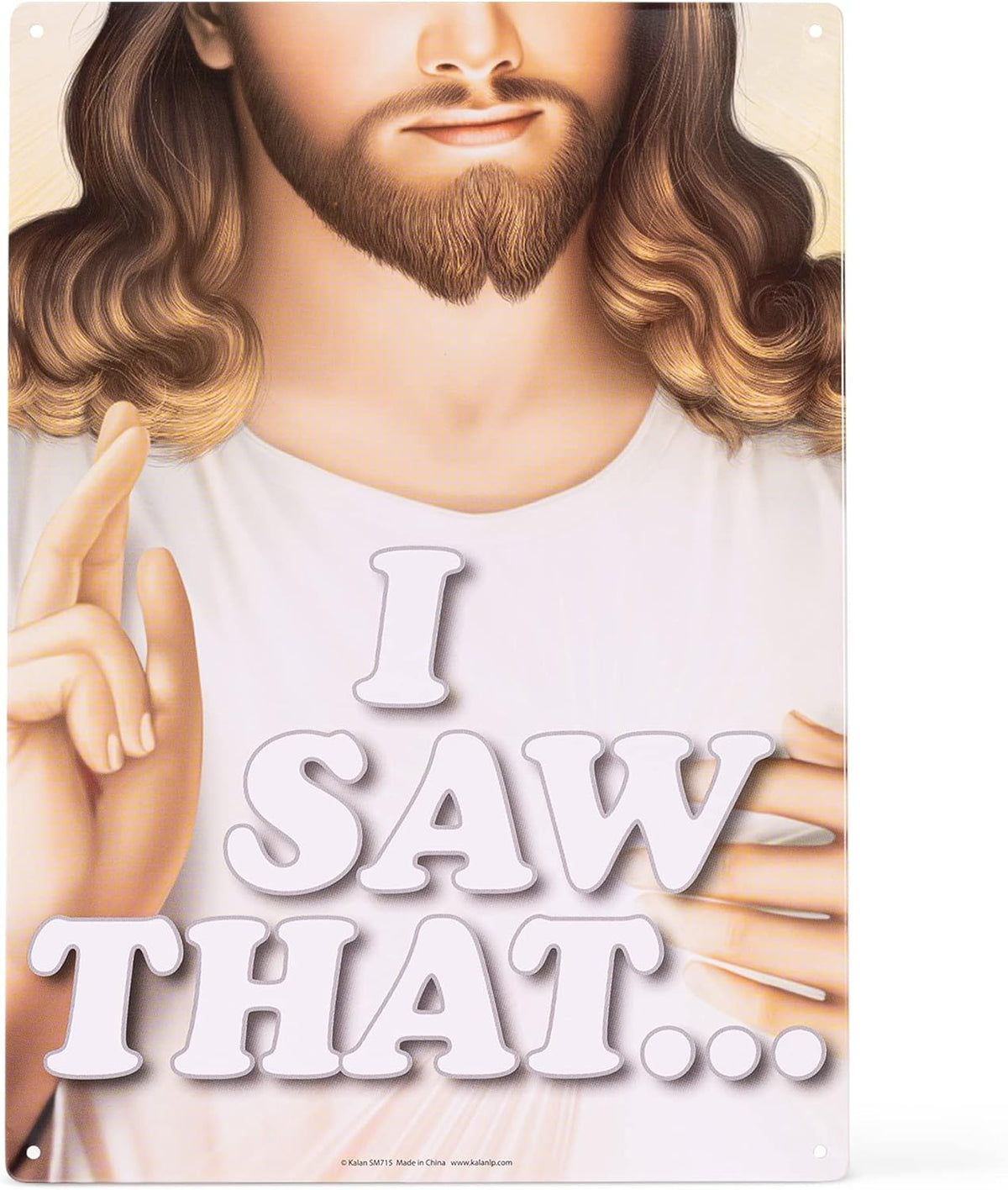 Metal Tin Sign "I SAW THAT" Jesus is watching you! Religious Wall Decor #D-01